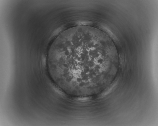 X0000110950357200906191255