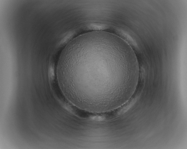 X0000110950358200906191255