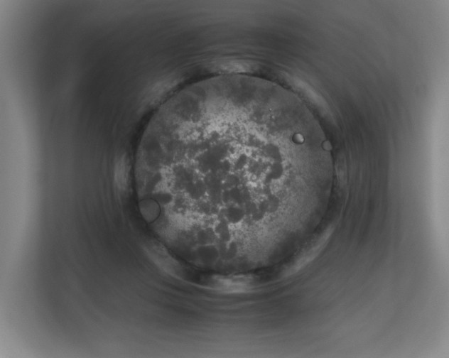 X0000110950359200906191255