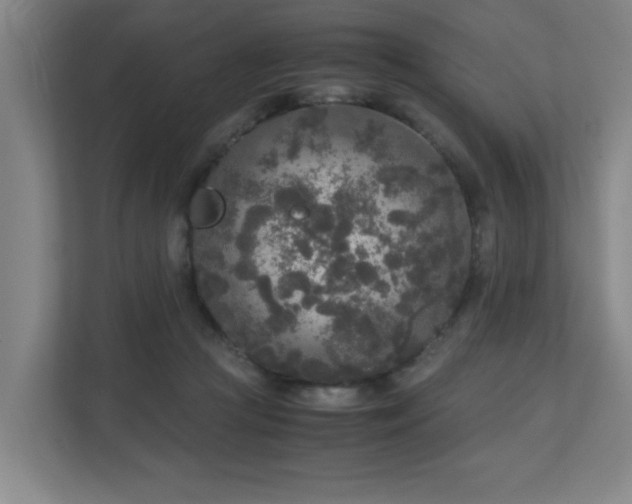 X0000110950361200906191255