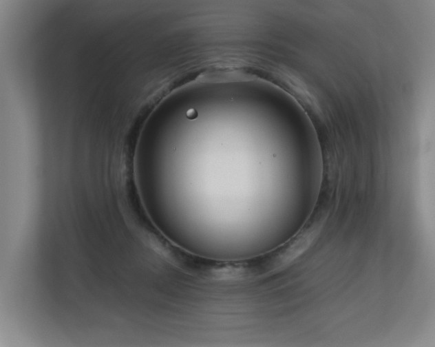 X0000110950362200906191255