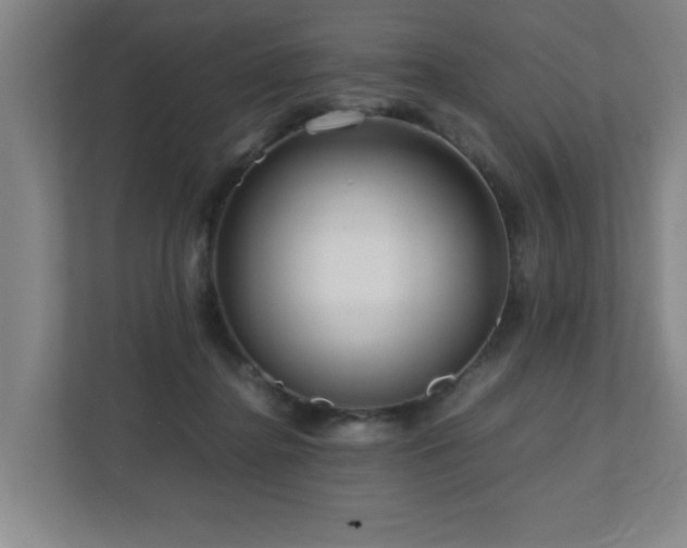 X0000110950364200906191255