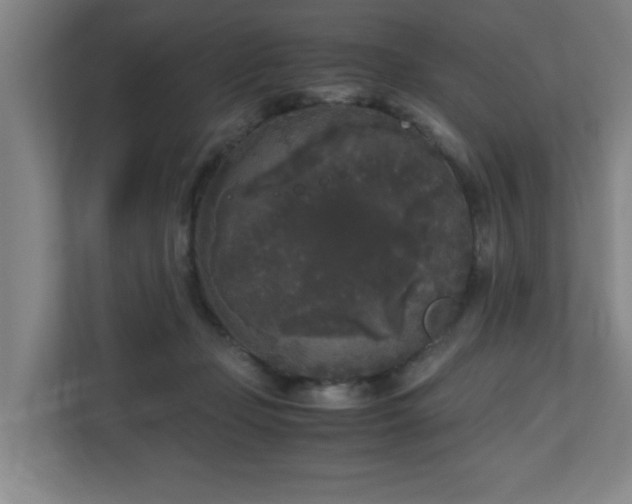 X0000110950365200906191255