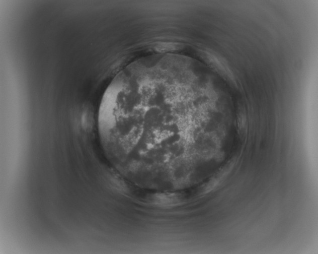 X0000110950367200906191255