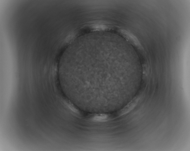 X0000110950369200906191255