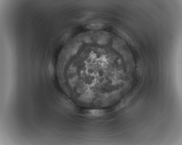 X0000110950371200906191255
