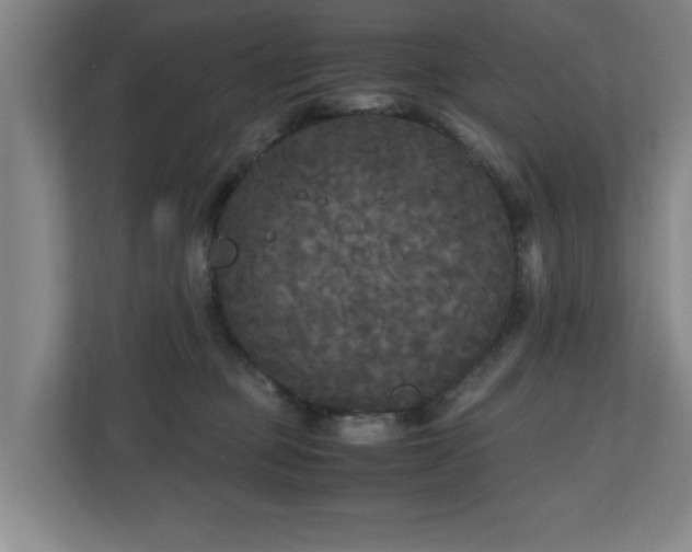 X0000110950373200906191255
