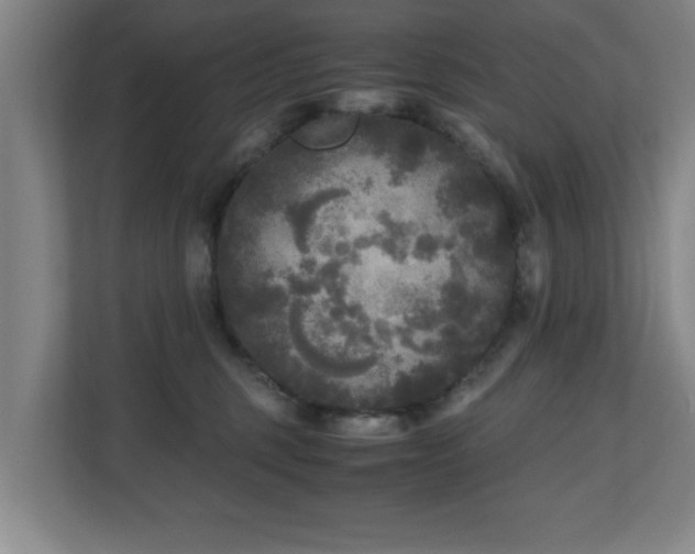 X0000110950375200906191255