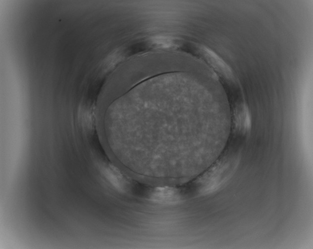 X0000110950376200906191255