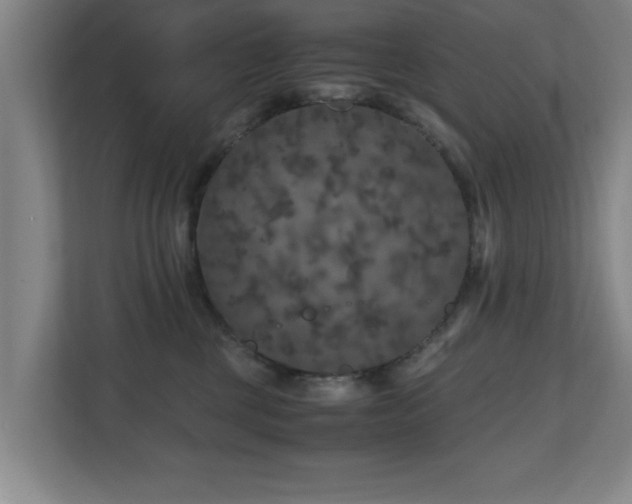X0000110950377200906191255