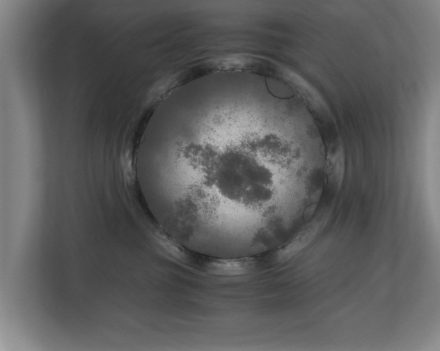 X0000110950381200906191255