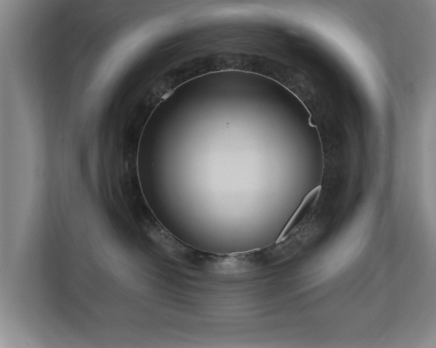 X0000110950382200906191255