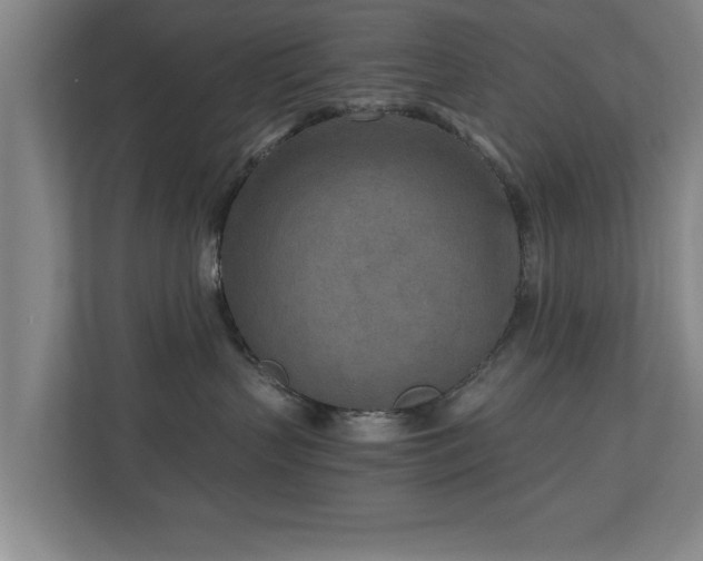 X0000110950383200906191255