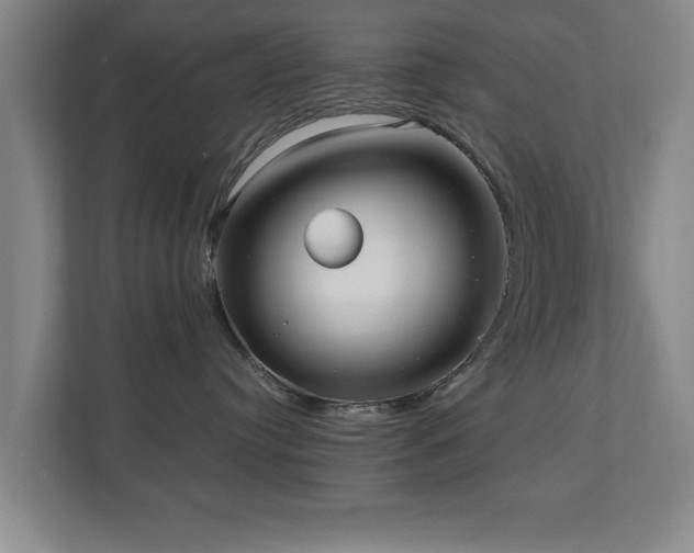 X0000110950384200906191255