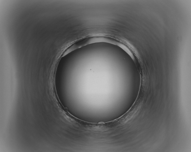 X0000110950385200906191255