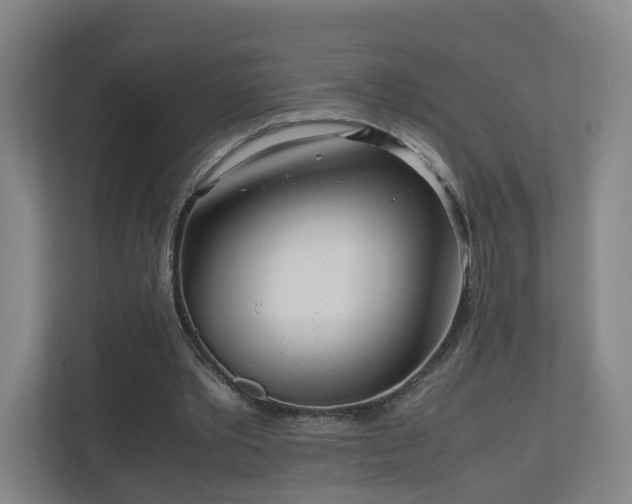 X0000110950389200906191255