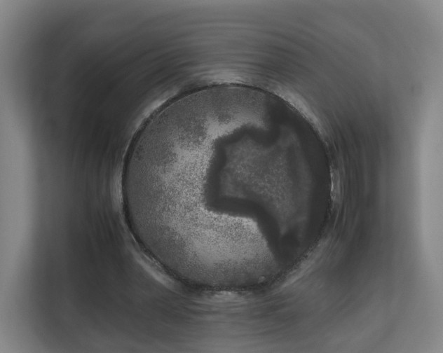 X0000110950390200906191255