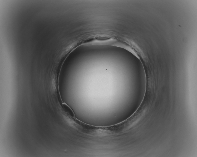 X0000110950393200906191255