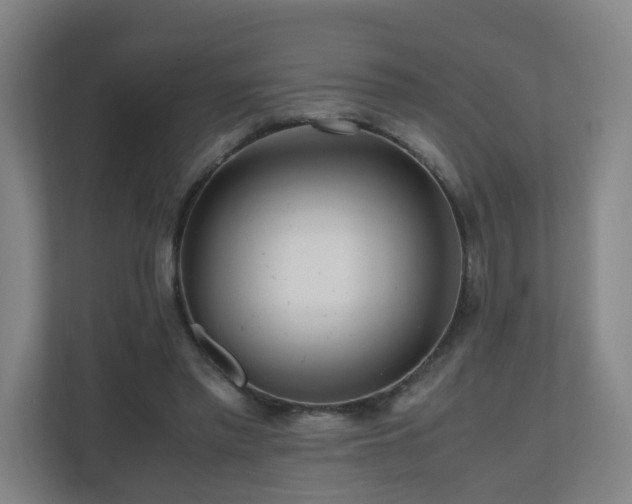 X0000110950397200906191255