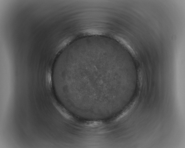 X0000110950398200906191255