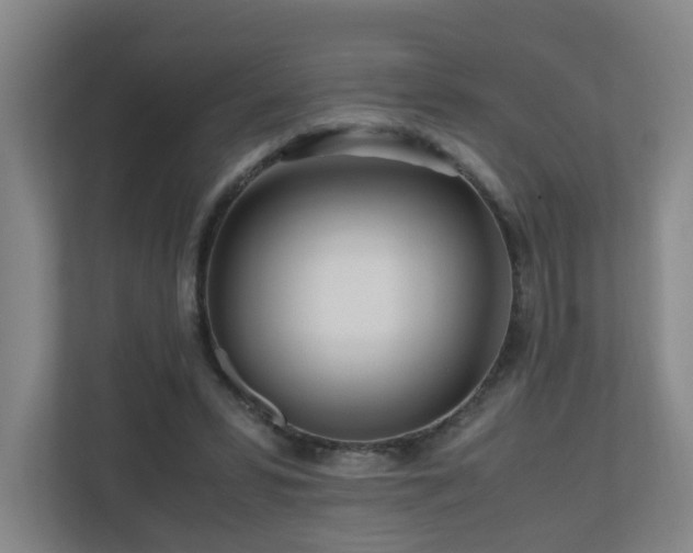 X0000110950399200906191255