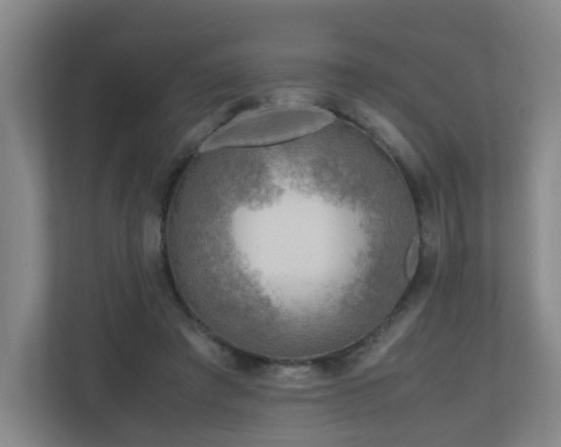 X0000110950401200906191255