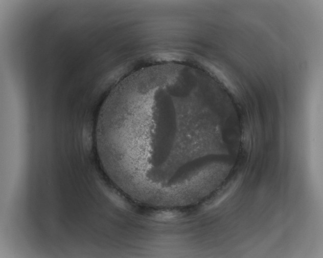 X0000110950402200906191255