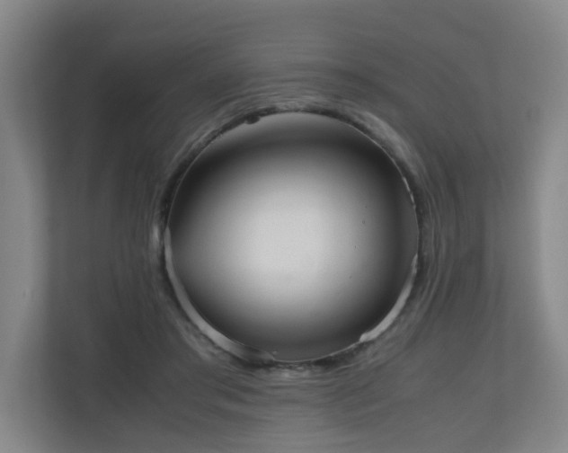 X0000110950405200906191255