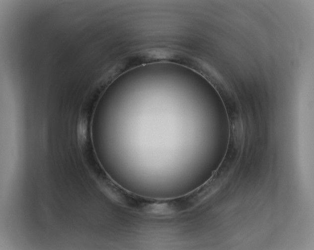 X0000110950406200906191254