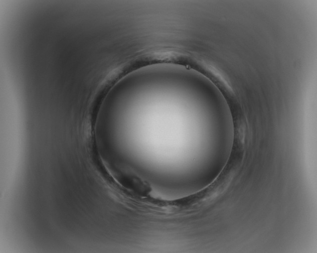 X0000110950407200906191254