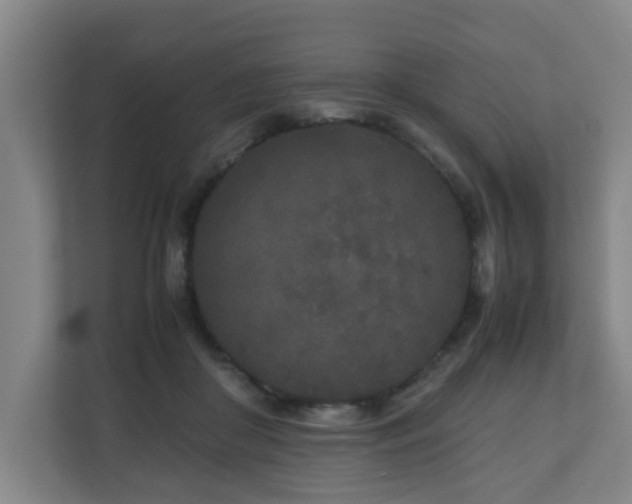 X0000110950410200906191254