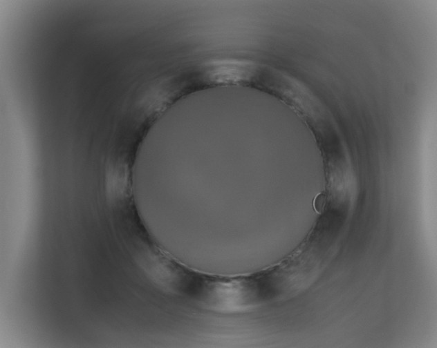 X0000110950411200906191254