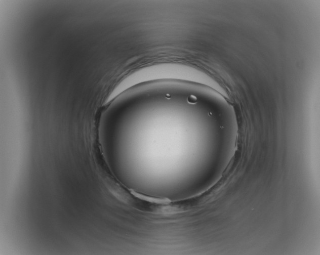 X0000110950413200906191254