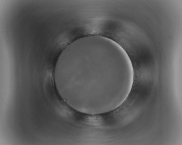 X0000110950415200906191254