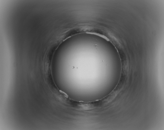 X0000110950417200906191254