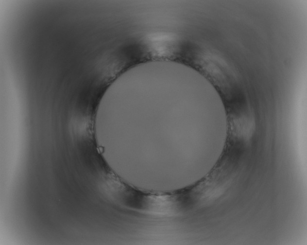 X0000110950419200906191254