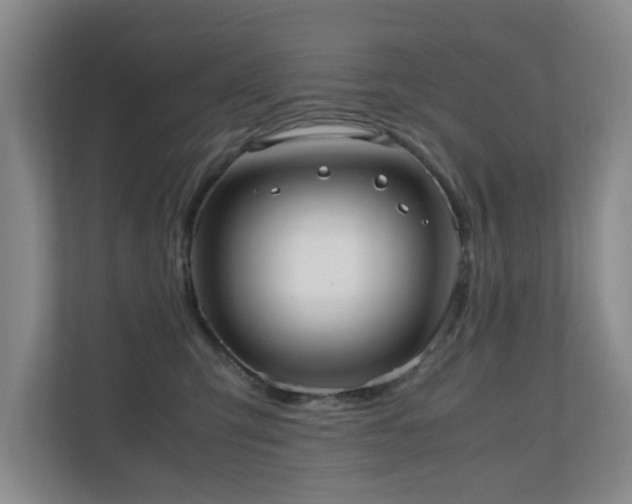 X0000110950423200906191254