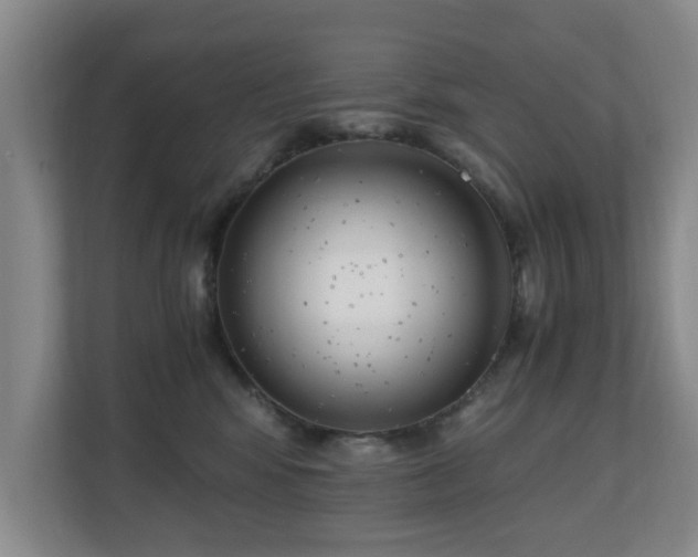 X0000110950424200906191254