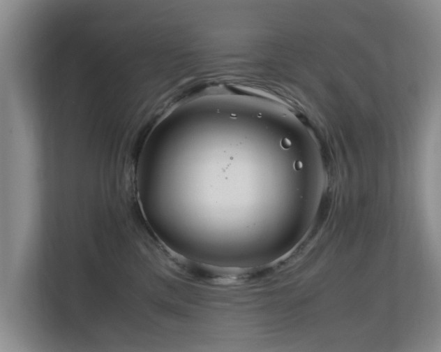 X0000110950425200906191254