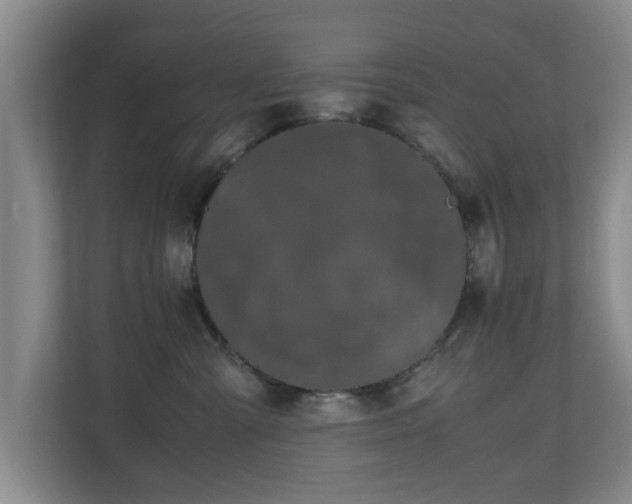 X0000110950427200906191254