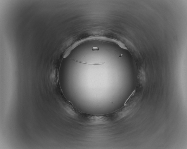 X0000110950428200906191254