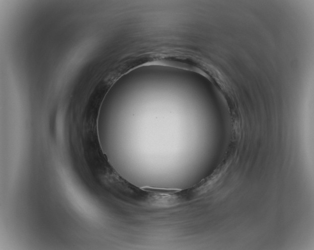 X0000110950429200906191254