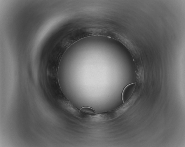 X0000110950430200906191254