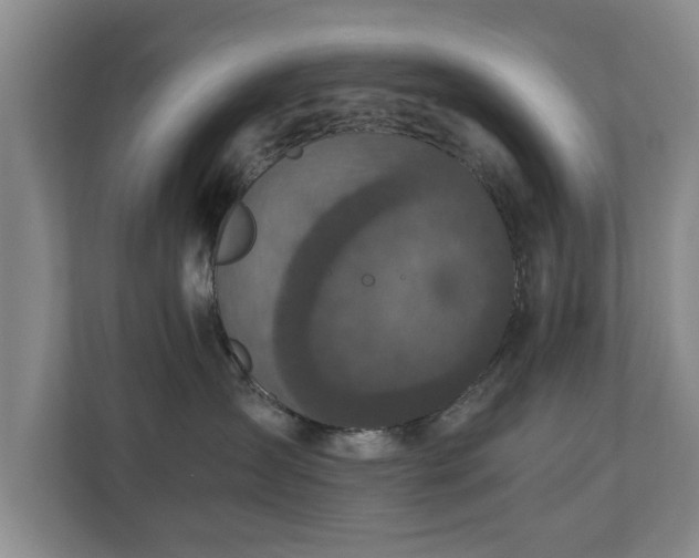 X0000110950431200906191254
