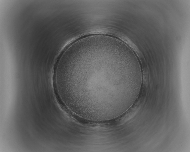 X0000110950434200906191254