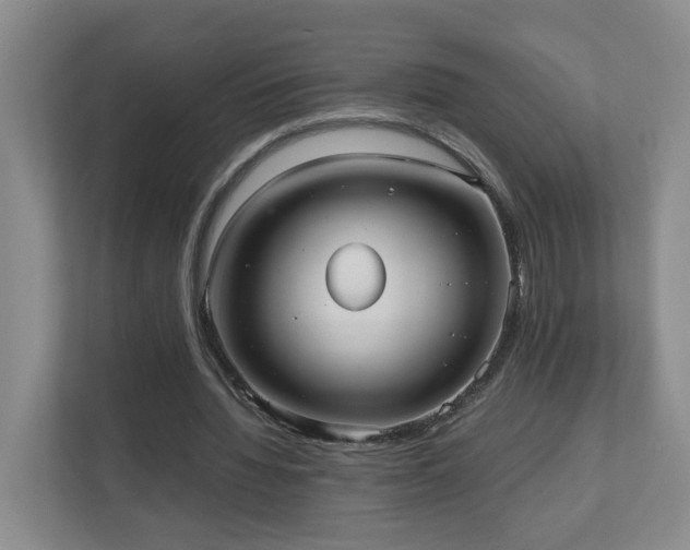 X0000110950436200906191254