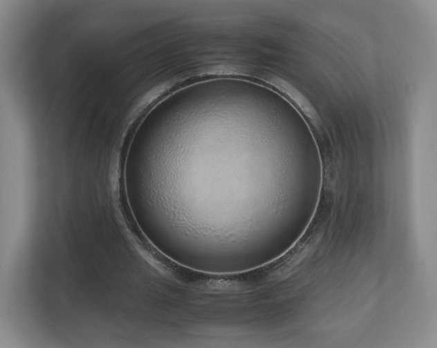 X0000110950437200906191254
