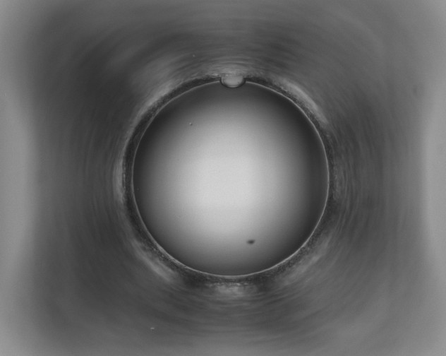 X0000110950439200906191254