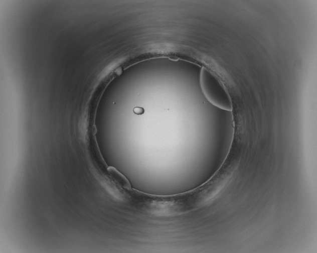 X0000110950440200906191254