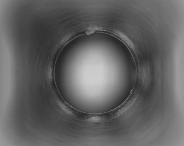 X0000110950441200906191254